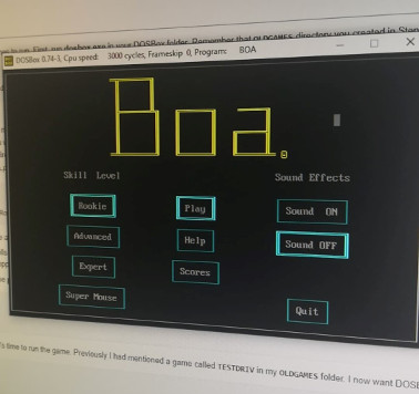 MS Boa running in DosBox